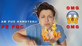 AM PUS HAMSTERII PE ARAGAZ (n-au murit)
