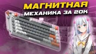 NUPHY FIELD75 HE | ПЕРВЫЙ ОБЗОР в СНГ | ПРЕМИУМ МЕХАНИКА на МАГНИТНЫХ ПЕРЕКЛЮЧАТЕЛЯХ