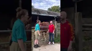 Apple Day: Horses!