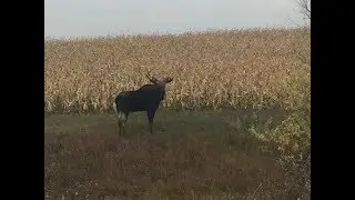 North Dakota - Wal Mart  Adventure