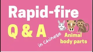 Animal body parts - Rapid fire Q&A | 快问快答 -- 动物的身体 | Learn Chinese
