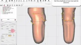 NEO 2016 - Curved Levels with Radius Tool