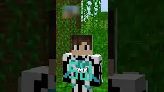 Obtaining Bedrock In Survival Minecraft...