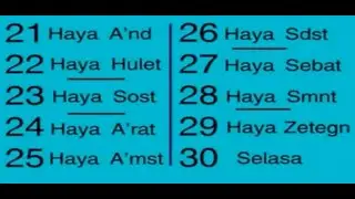 Counting 21-30 in Amharic Ethiopian language #shorts