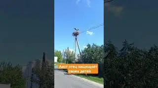 16 июля 2023 г.