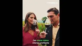 I 3 tour del vino più belli da fare in Campania 🍇