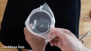 DIY Guppy Fish Breeding Box with Plastic Jar and Rubber Bands