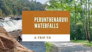 Trip to Perunthenaruvi Waterfalls | Drive through woods 🌴