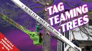 Tag Teaming Trees - Sarah breaks out the Air Spade