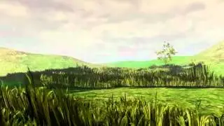 Windy Field