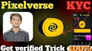 Get Verified Tick on Pixelverse|Pixelverse per Verified tick kaise lagae