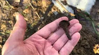 Коп на овраге! Признаки жизни! открытие сезона!