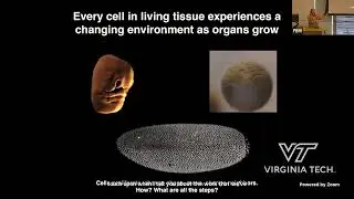 Pioneers in Biomedical Research Seminar: Building and Maintaining Biological Tubes