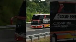 Bus Haryanto ft Bus Double Decker Rosalia Indah #busindonesia #busmania #bus