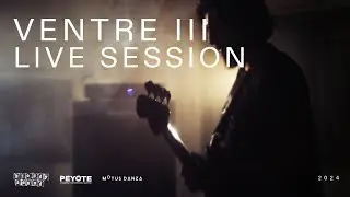 Palmer Generator - Live Session: Ventre III