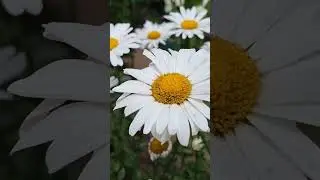 23 июня 2024 г.