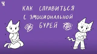 Как справиться с эмоциональной бурей?