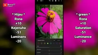 Tutorial Edit foto Lightroom di android, Simpel untuk pemula