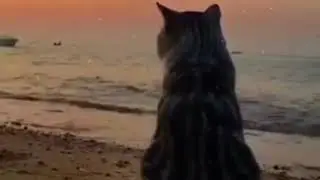 Одиночество лучше, чем плохая компания