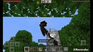 играю в Minecraft режим выживания