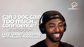 Can a Dog Gain Too Much Confidence? | Live Group Coaching Excerpt with Blake Rodriguez & Tyler Muto