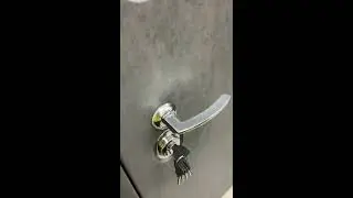 Дверь входная Лофт