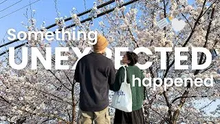 My First Korean Market Experience 🌸🇰🇷 + Cherry Blossoms & a Surprise!