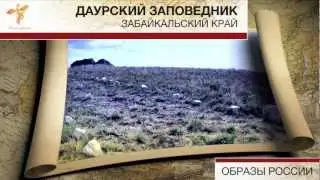 Даурский заповедник