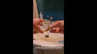 La magie des graines germées (comment en faire facilement?)