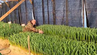 Проблемы на каждом шагу, но мы не опускаем руки