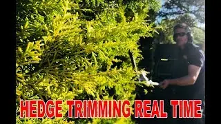 How to trim a hedge in Real-time
