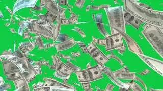 3D Flying Dollar Green Screen 4K