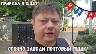 Важно знать каждому беженцу в Америке - Воскресный Волк