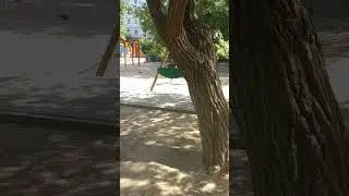Заснял НЕЧТО на качелях❗ #shorts
