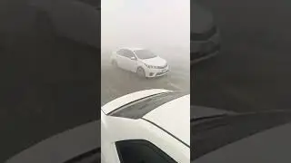 سیالکوٹ موٹر وے افسوسناک واقع موٹروے انتظامیہ کی غفلت کی وجہ سے درجنوں گاڑیاں حادثے کا شکار