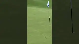 Brilliant approach from Fitzpatrick to secure the 2023 