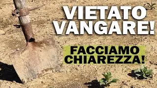 VIETATO VANGARE | COME e QUANDO LAVORARE il suolo | Facciamo chiarezza