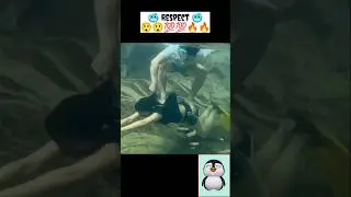 Respect swiming under water 🤯😶🏊 #shorts