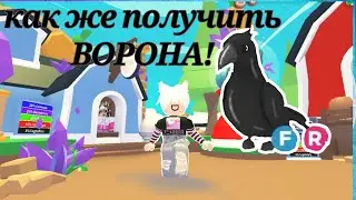 Как получить Ворона в Adopt me🤔  #roblox #adopt me