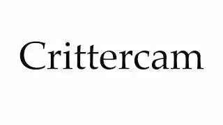 How to Pronounce Crittercam