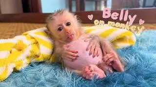 Cute Monkey Bath Time Routine 🚿 | Baby Monkey Happy Breakfast Time 🍎🐒