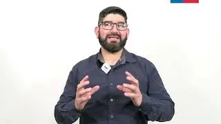 3.5 Anatomía del Sistema Cardiovascular