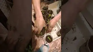 Одно дело сделано.