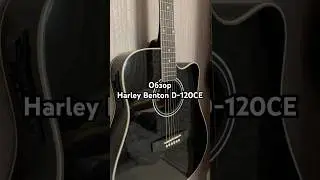 Review + sound of CHEAP electro-acoustics from OZON 