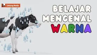 Belajar Warna dan Mengenal Suara Hewan - Sapi Warna-warni