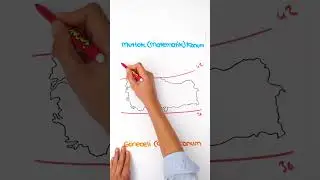 1 Dakikada Türkiye'nin Matematik ve Özel Konumu 🌍