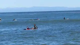 Surfing in Santa Cruz 2(1)