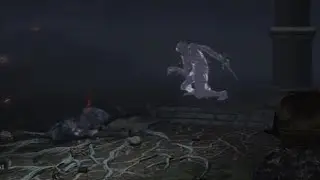 Black Knife Tiche VS. Black Knife Assassin | ELDEN RING