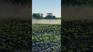 Оприскування  соняшника 👍