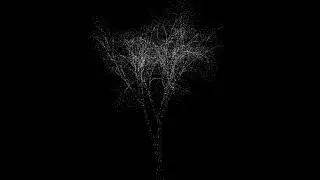 Particle Cloud Tree on TouchDesigner